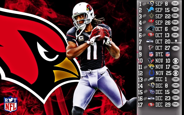 Larry Fitzgerald 2013 Schedule HDR